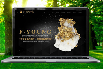 ��㸩�����ﱦʯ